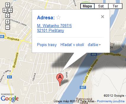 google_map